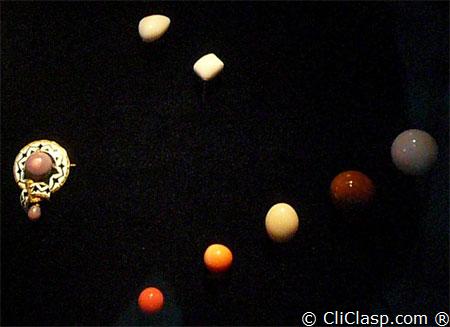 up photo : pearls from Triplofusus giganteus, thanks to S.Hendrickson, left : quahog (merceneria mercenaria) thanks to M.Westam & Matlins,  right : Melo Melo (bailer shell) 